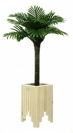 Date palm Saada cachepot Dekollete Escalera 45