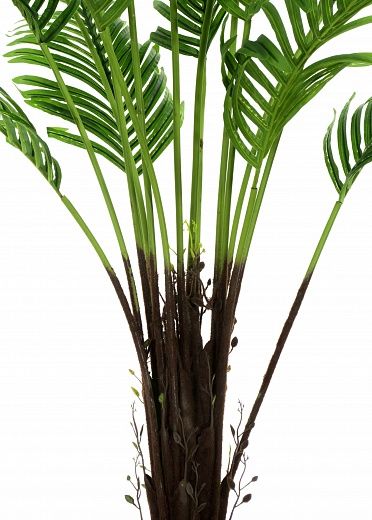 Date palm Bizerte cachepot Dekollete Stream 30 available to order 1 piece