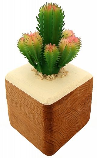 Cactus Cuir cachepot Dekollete Wood 7