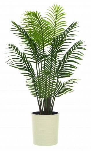 Madia date palm cachepot Dekollete Clasico 30 Eco