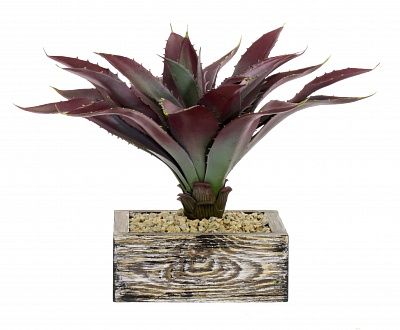 Agave Ford Cachepot Dekollete Wood available to order 1 piece