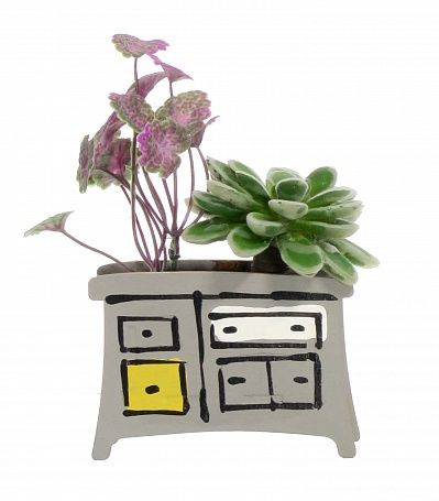 Succulent mix children's dresser available to order 6 pieces