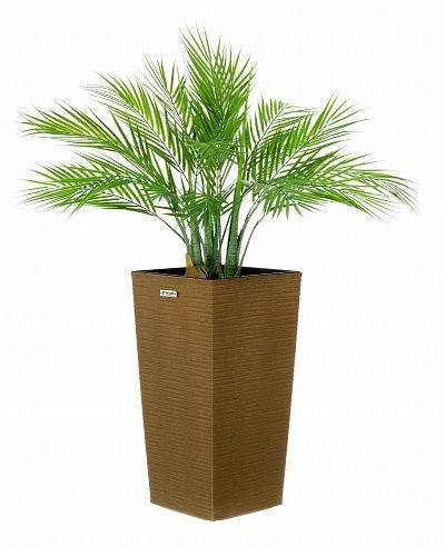 Palm Pichino Fitta Cachepot Dekollete Kuno 46 Eco