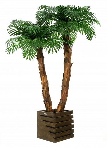 Palm Linara cachepot Dekollete Stream 30