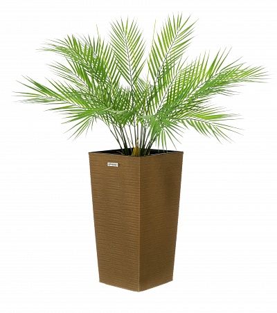 Palm Ayora Tres cachepot Dekollete Kuno 46 Eco