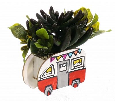 Children's Bus succulent mix available to order 5 pieces