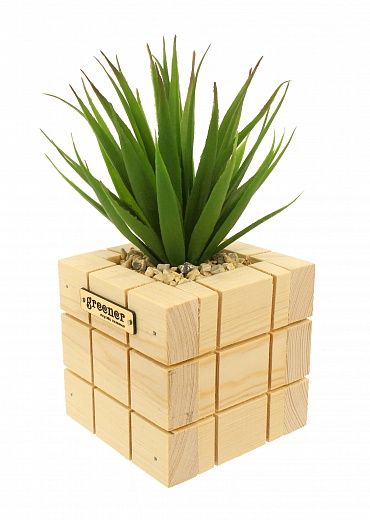 Agave Puata Cachepot Dekollete Chess 10