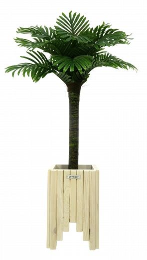 Date palm Saada cachepot Dekollete Escalera 45