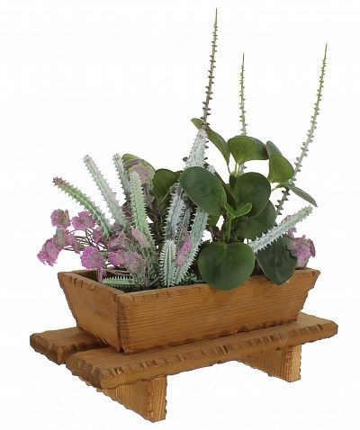 Cactus composition Lund cachepot Dayton available to order 1 piece