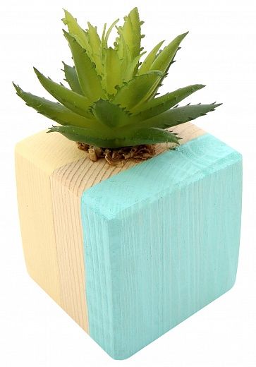 Agave Dacca cachepot Dekollete Wood W 5