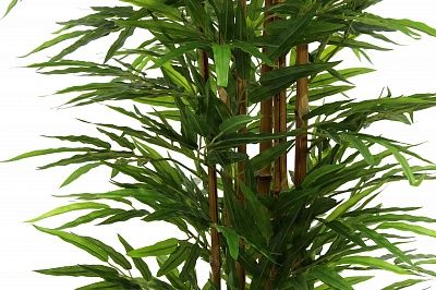 Bamboo Daberg cachepot Dekollete Kuno B20