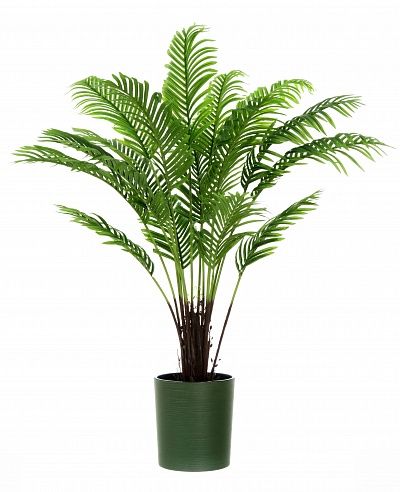 Date palm Bizerte cachepot Dekollete Clasico 30 Eco available to order 1 piece