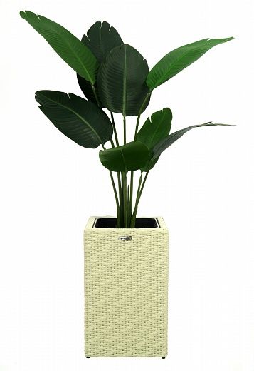 Banana Gammart 110 cachepot Dekollete Rattan Cube 50