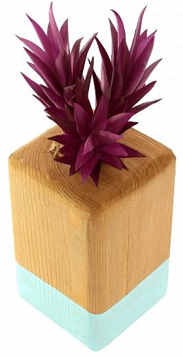 Agave Esco cachepot Dekollete Wood 12