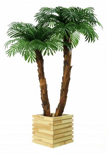 Palm Linara cachepot Dekollete Bandas 30 color