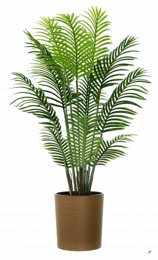 Madia date palm cachepot Dekollete Clasico 30 Eco