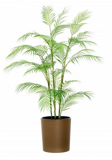 Elbay date palm cachepot Dekollete Clasico 30 Eco