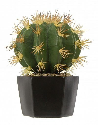 Cactus Tarro cachepot Dekollete