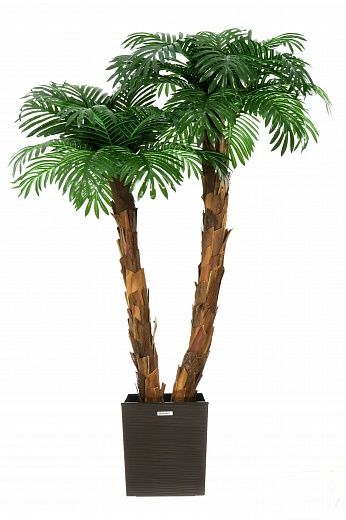 Palm Linara cachepot Dekollete Clasico 30