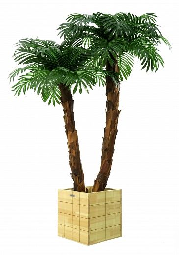 Palm Linara cachepot Dekollete Chess 30 color