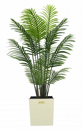 Madia date palm cachepot Dekollete Clasico 30