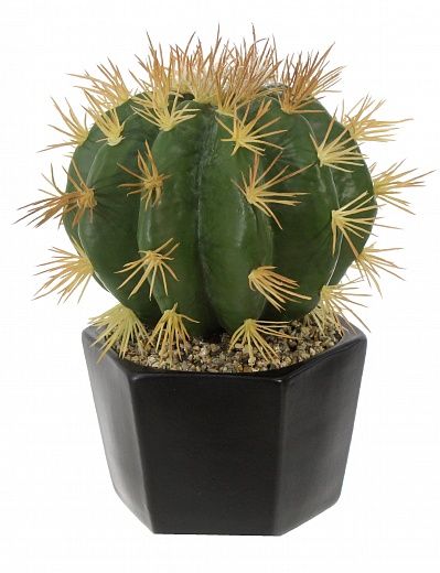 Cactus Tarro cachepot Dekollete