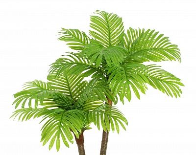 Date Palm Bogora Cachepot Dekollete Gurido 30 color