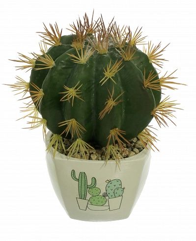 Cactus Tarro Cachepot Dekollete Cactus Club