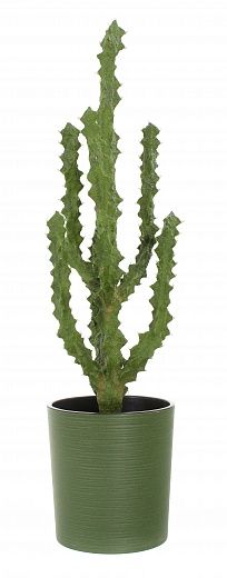 Cactus Ridge Cachepot Dekollete Clasico 30 Eco available to order 1 piece