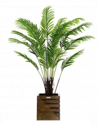 Date palm Bizerte cachepot Dekollete Stream 30 available to order 1 piece