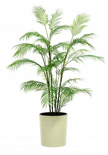 Elbay date palm cachepot Dekollete Clasico 30 Eco