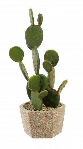 Cactus Martinez Cachepot Dekollete Granite