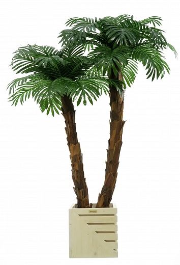 Palm Linara cachepot Dekollete Stream 30