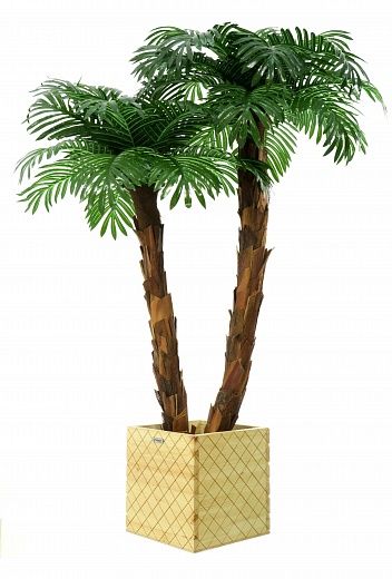 Palm Linara cachepot Dekollete Gurido 30