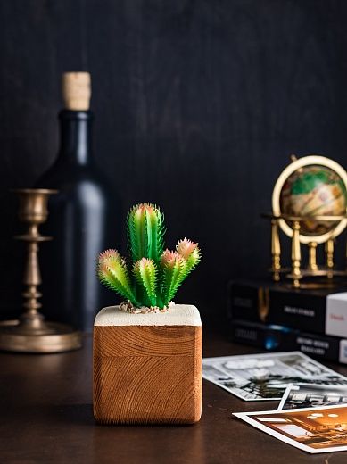 Cactus Cuir cachepot Dekollete Wood 7