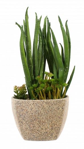 Agave Lunga Composition Cachepot Dekollete Granite