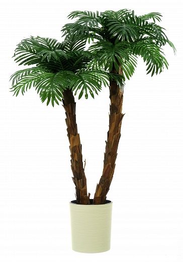 Palm Linara cachepot Dekollete Clasico 30 Eco