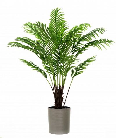 Date palm Bizerte cachepot Dekollete Clasico 30 Eco available to order 1 piece