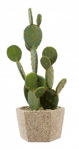 Cactus Martinez Cachepot Dekollete Granite