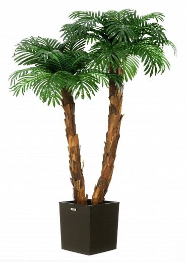 Palm Linara cachepot Dekollete Clasico 30