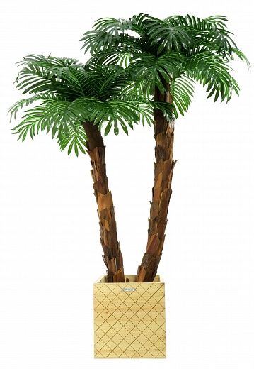 Palm Linara cachepot Dekollete Gurido 30