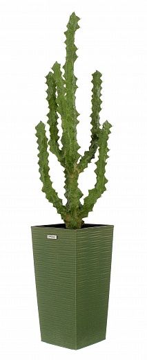 Cactus Ridge Cachepot Dekollete Kuno 46 Eco available to order 1 piece