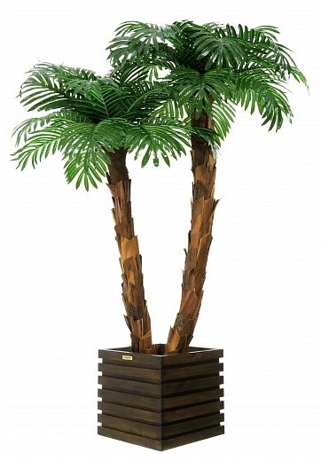 Palm Linara cachepot Dekollete Bandas 30 color