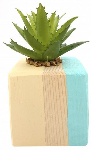 Agave Dacca cachepot Dekollete Wood W 5