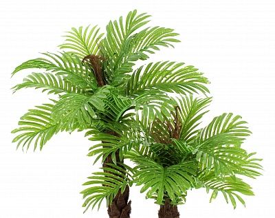 Date palm Eskama cachepot Dekollete Clasico 30 Eco