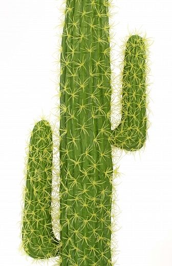 Cactus Mexico Cachepot Dekollete Rattan Cone 50