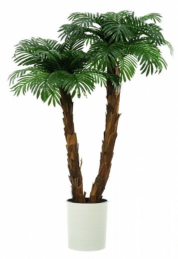 Palm Linara cachepot Dekollete Clasico 30