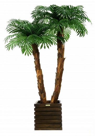 Palm Linara cachepot Dekollete Bandas 30 color