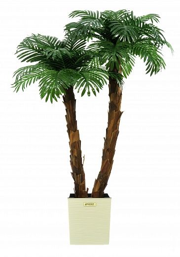 Palm Linara cachepot Dekollete Clasico 30