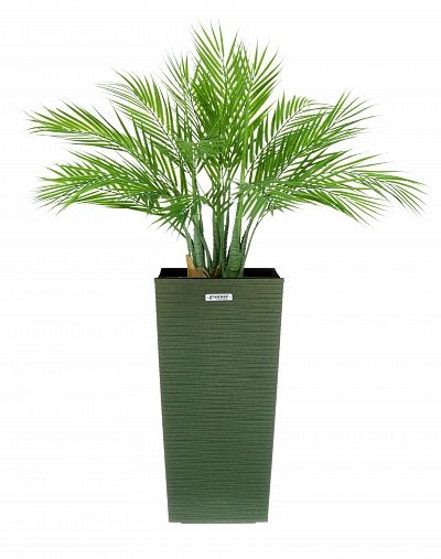 Palm Pichino Fitta Cachepot Dekollete Kuno 46 Eco